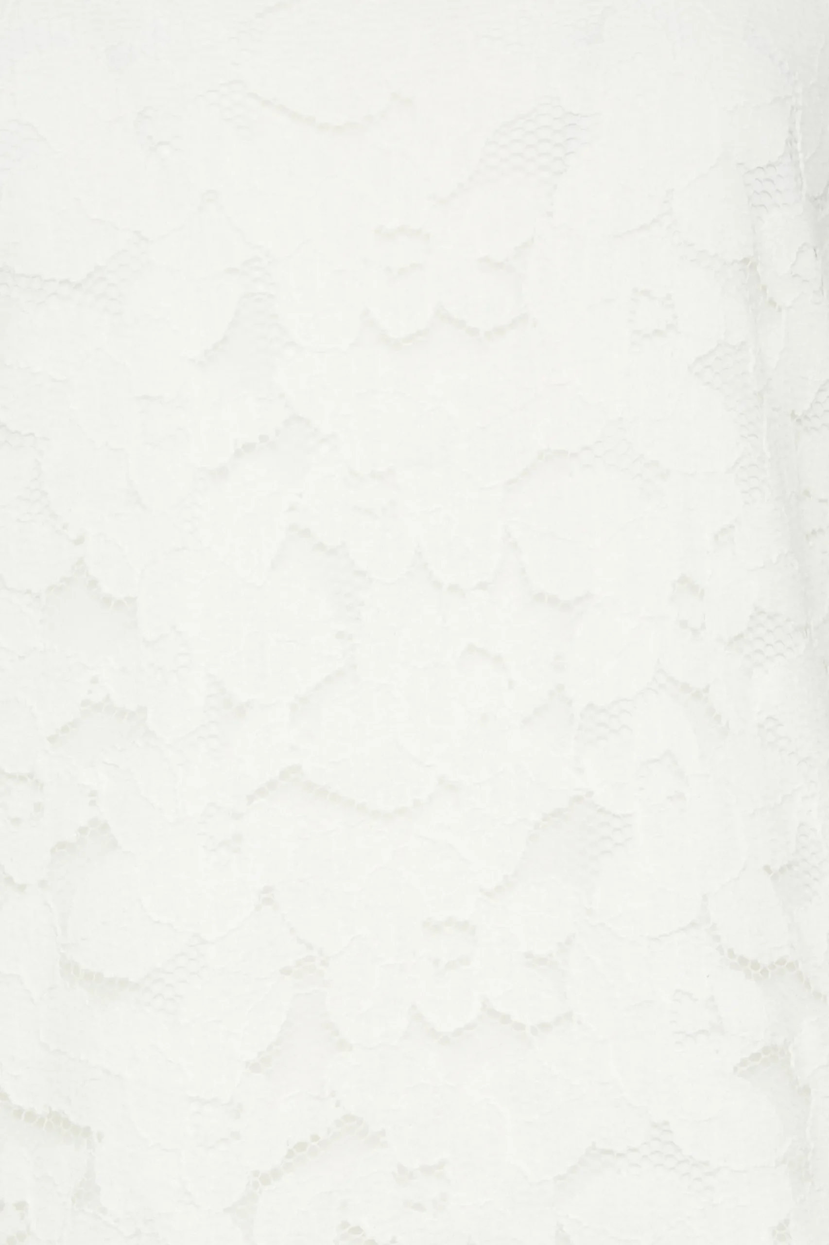 M&Co Womens M&Co Ivory White Lace Blouse