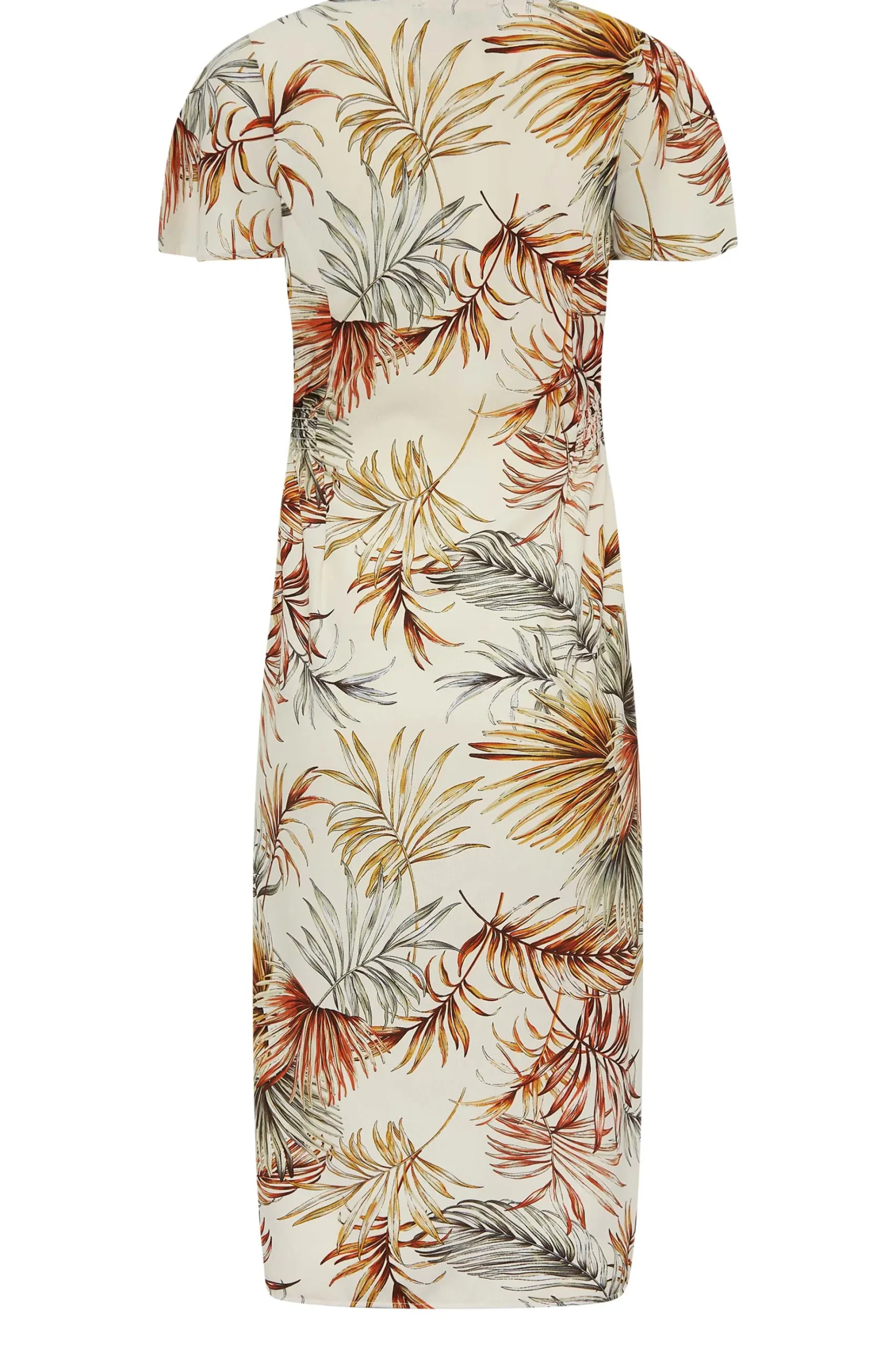 M&Co Womens M&Co Natural Brown Tropical Print Shirred Waist Midi Dress