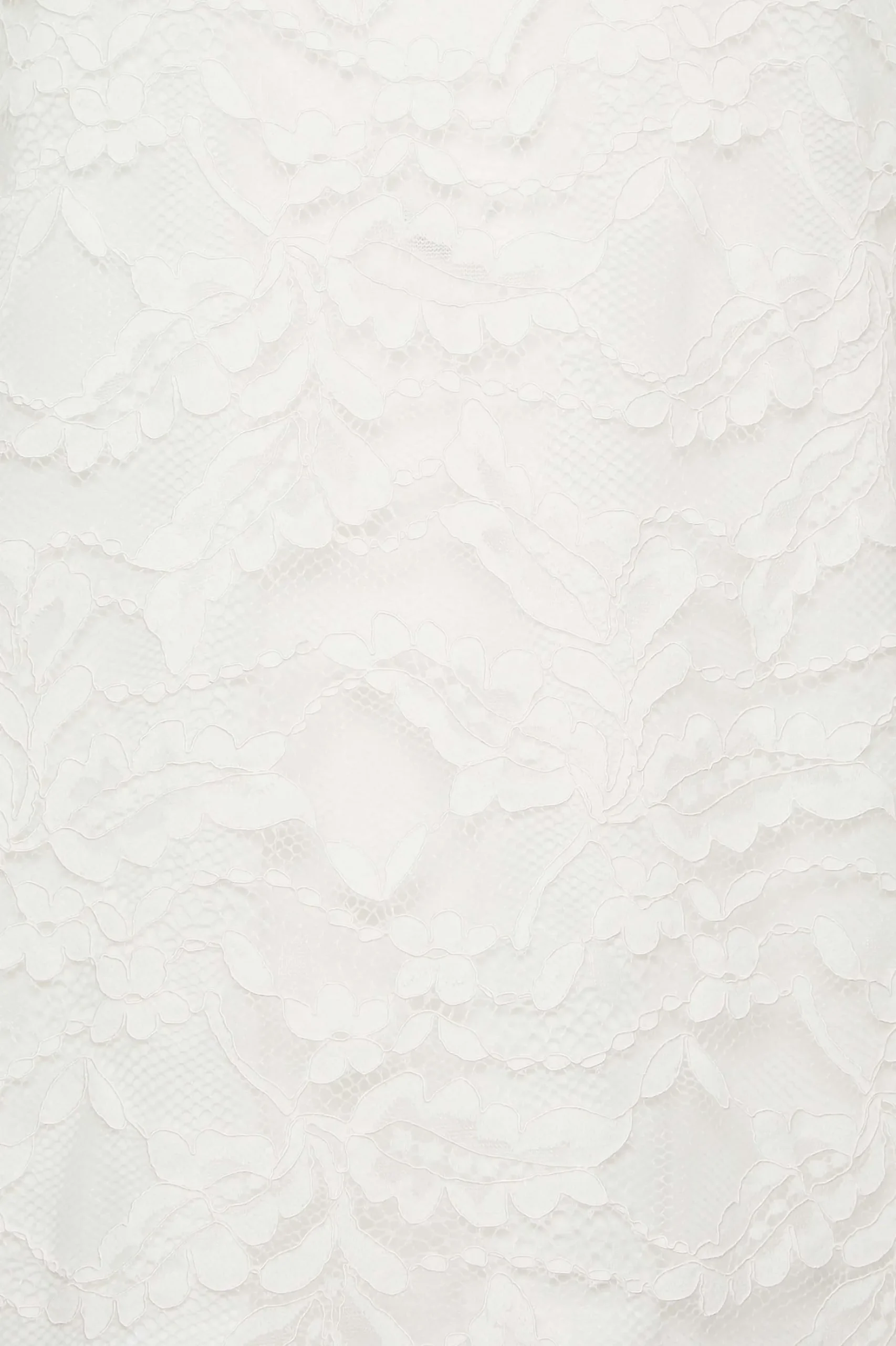 M&Co Womens M&Co White Lace Floral Blouse