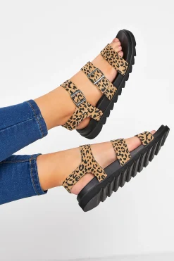 Yours Yours Black Leopard Print Buckle Sandals In Extra Wide Eee Fit