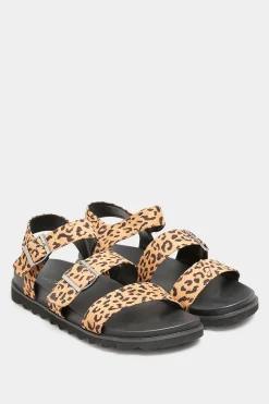 Yours Yours Black Leopard Print Buckle Sandals In Extra Wide Eee Fit