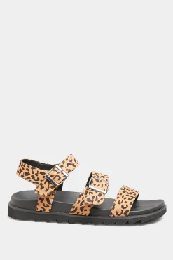 Yours Yours Black Leopard Print Buckle Sandals In Extra Wide Eee Fit