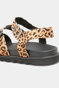 Yours Yours Black Leopard Print Buckle Sandals In Extra Wide Eee Fit