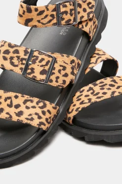 Yours Yours Black Leopard Print Buckle Sandals In Extra Wide Eee Fit
