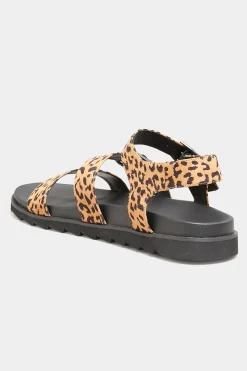 Yours Yours Black Leopard Print Buckle Sandals In Extra Wide Eee Fit